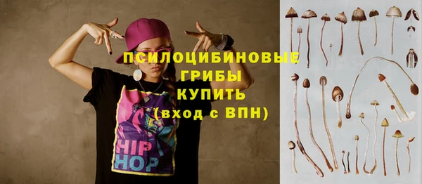 2c-b Няндома