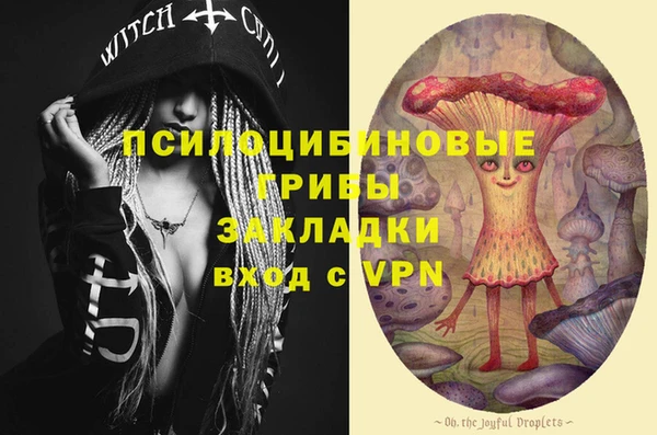 2c-b Няндома