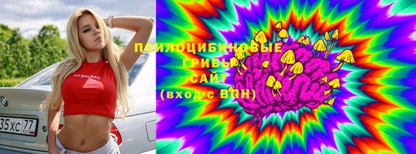 соль курить ск Нязепетровск