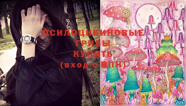 ешки Нягань