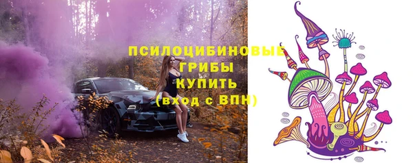 2c-b Няндома