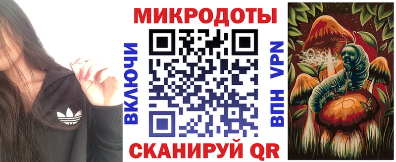 Псилоцибиновые грибы Psilocybe  где купить наркоту  Полтавская 